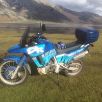 Suzuki DR 800 Big S ISCRITTA FMI