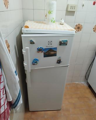 frigorifero congelatore Elettrolux