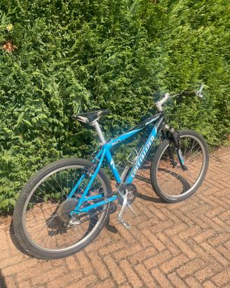 Bici Mountain bike