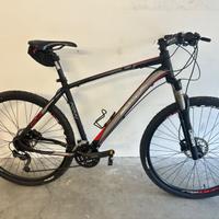 MountainBike Borga ARW ruote da 29"