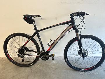 MountainBike Borga ARW ruote da 29"