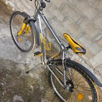 Bici in alluminio