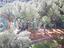 Immagine 6