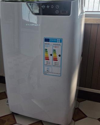 Climatizzatore portatile SMARTWAY