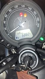 Triumph Speed twin t9
