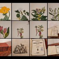 Farmacia medicina chimica '800 illustrazioni