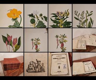 Farmacia medicina chimica '800 illustrazioni
