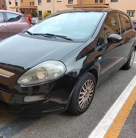 punto evo nera