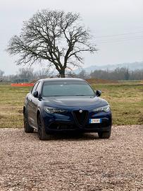Alfa Romeo Stelvio 2.2 210 cv Q4