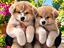 Immagine 4