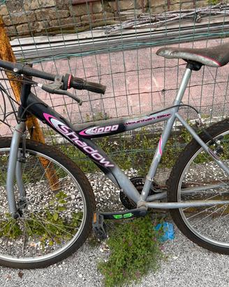 Bici shadow