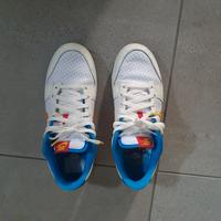 Nike Dunk Low Retro Se