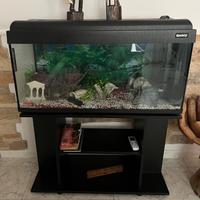 Acquario arredato