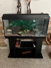 Acquario arredato