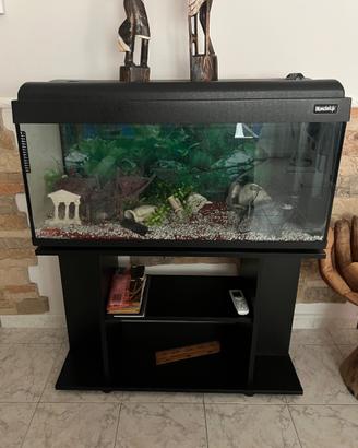 Acquario arredato