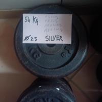 Dischi palestra - kg. 54 + altri