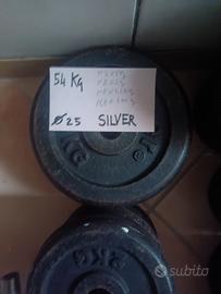 Dischi palestra - kg. 54 + altri