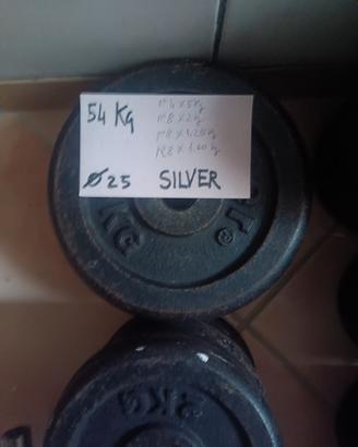 Dischi palestra - kg. 54 + altri