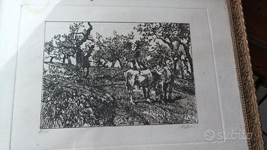 Acquaforte Giovanni Fattori