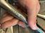 Immagine 3