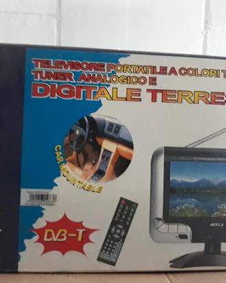 Televisore portatile a colori