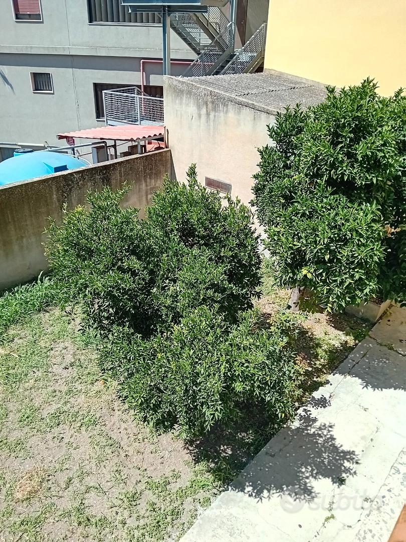 Appartamento – Oristano, Città Giardino, Aristanis/Oristano - Vista 2