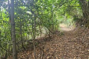 TER. AGRICOLO A CHIAVARI