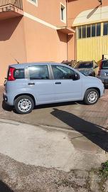 Panda 2019 - 69.500 km- richiesta 8500 euro