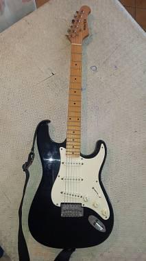 Roytek stratocaster