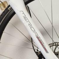 Bicicletta Mountain-bike