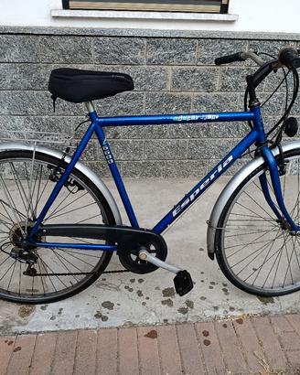Bicicletta uomo city bike 