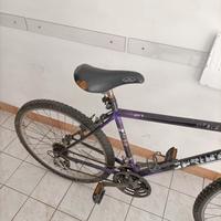 bici MTB