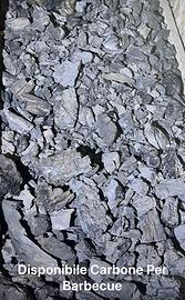 Carbone legno di Arancio