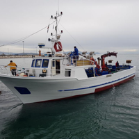 Motobarca pesca a a circuizione