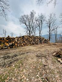 Legna in stanga da ardere
