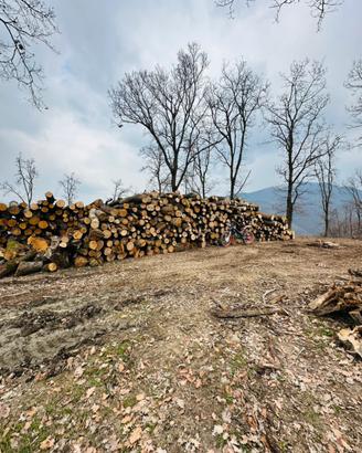 Legna in stanga da ardere