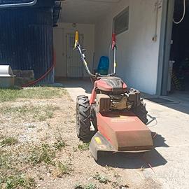 DECESPUGLIATORE/TAGLIAERBA MOTORIZZATO