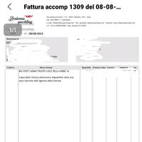 Hobie cat 16 catamarano