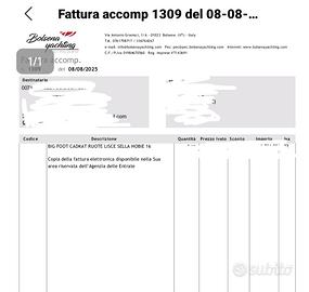 Hobie cat 16 catamarano