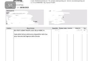 Hobie cat 16 catamarano