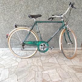 Bicicletta da Passeggio