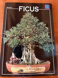 Ficus