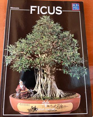 Ficus
