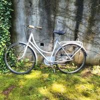 Bicicletta Donna