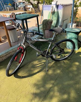 Bici per ragazzi/adulti