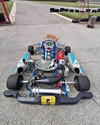 Go  kart kz