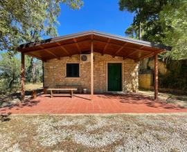 Casa immersa nel verde a 2km dal centro abitato