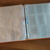 Pagine raccoglitore 9 tasche per carte collezionab