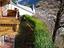 Immagine 26