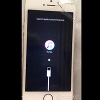 IPhone SE difettoso Ricanbi